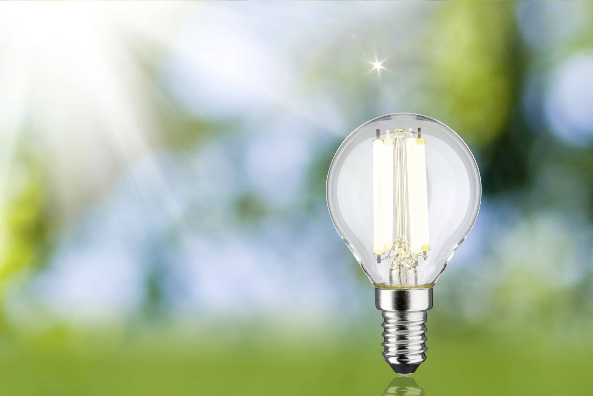 Une ampoule est au premier plan avec un arrière-plan vert flou, symbolisant l'invention et la durabilité.