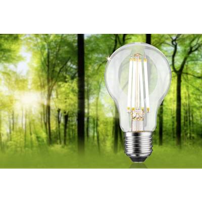 Une ampoule flotte dans une forêt verte. Elle symbolise l'énergie écologique et la connexion à la nature. La lumière filtre à travers les arbres.