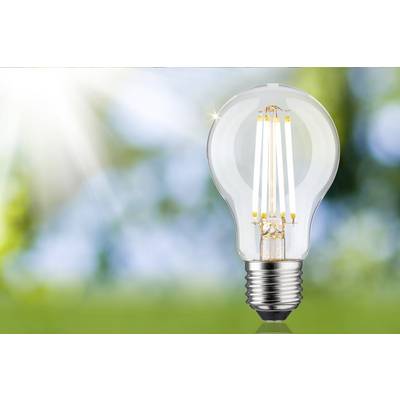 Une ampoule brillante est visible devant un arrière-plan flou, vert et ensoleillé.