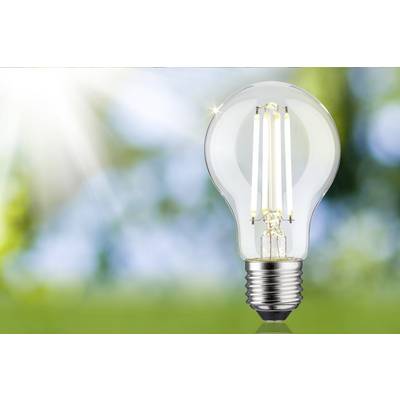 Une ampoule lumineuse devant un arrière-plan flou vert et bleu avec des rayons de soleil. Symbolise l'innovation ou l'énergie.