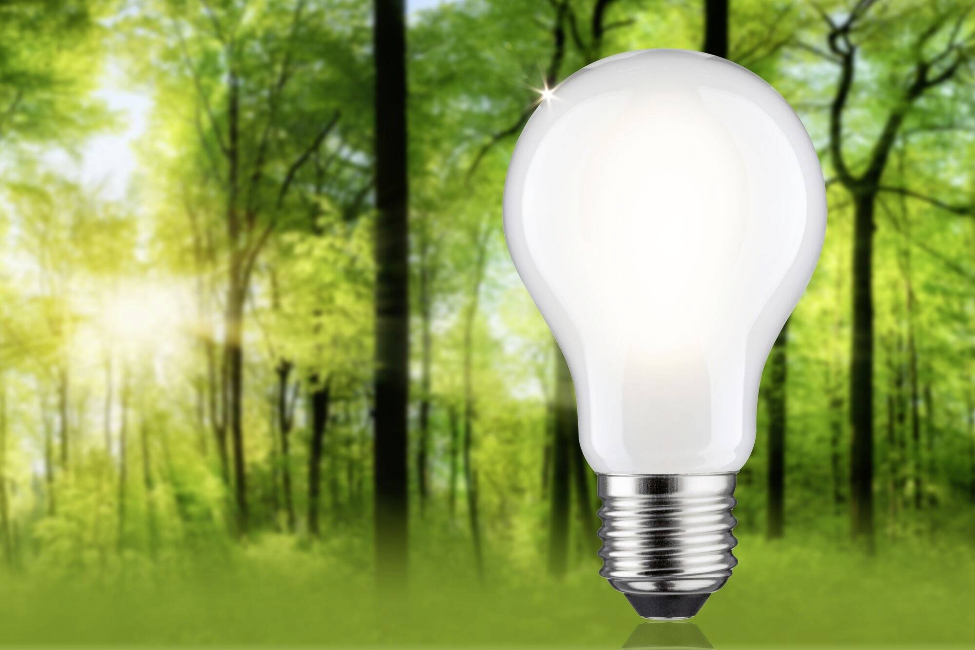 Une ampoule lumineuse flotte dans une forêt verte, symbolisant la génération d'idées et la connexion entre la nature et la technologie.
