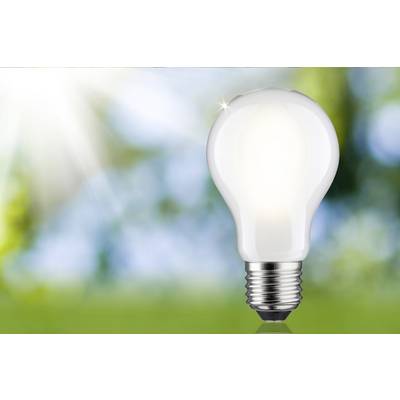 Une ampoule lumineuse devant un arrière-plan flou, symbolisant des idées et des innovations.