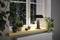 Un rebord de fenêtre avec plusieurs plantes en pot et une lampe de table moderne, donnant sur un aperçu d'arbres verts à l'extérieur.