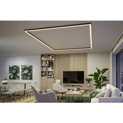 Paulmann 98171 Linion Plafonnier LED LED 3.5 W noir-7