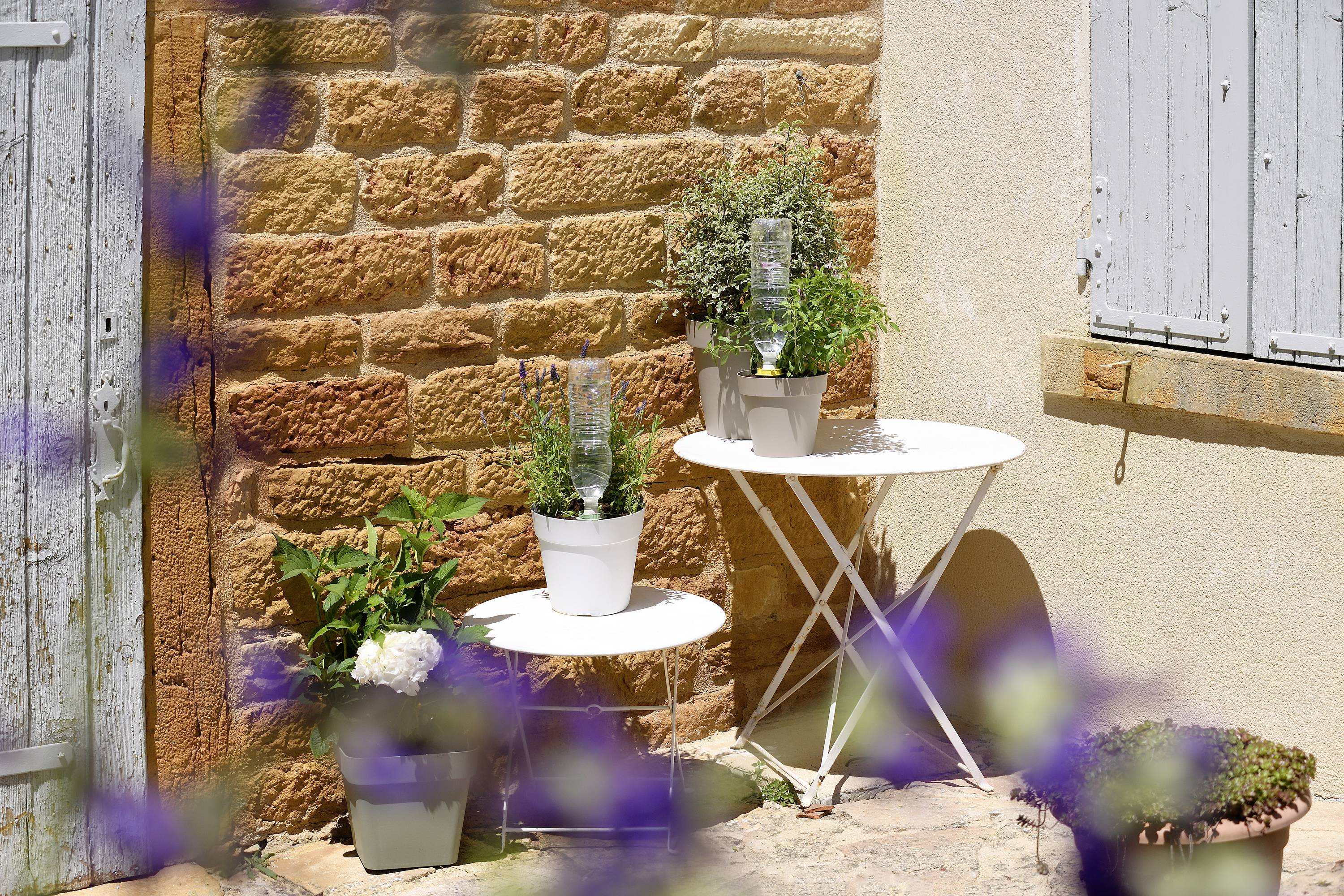 Deux tables blanches avec des pots de fleurs sont placées à côté d'un mur de briques rustique. De la lavande au premier plan, un ciel bleu. Lumière du soleil.