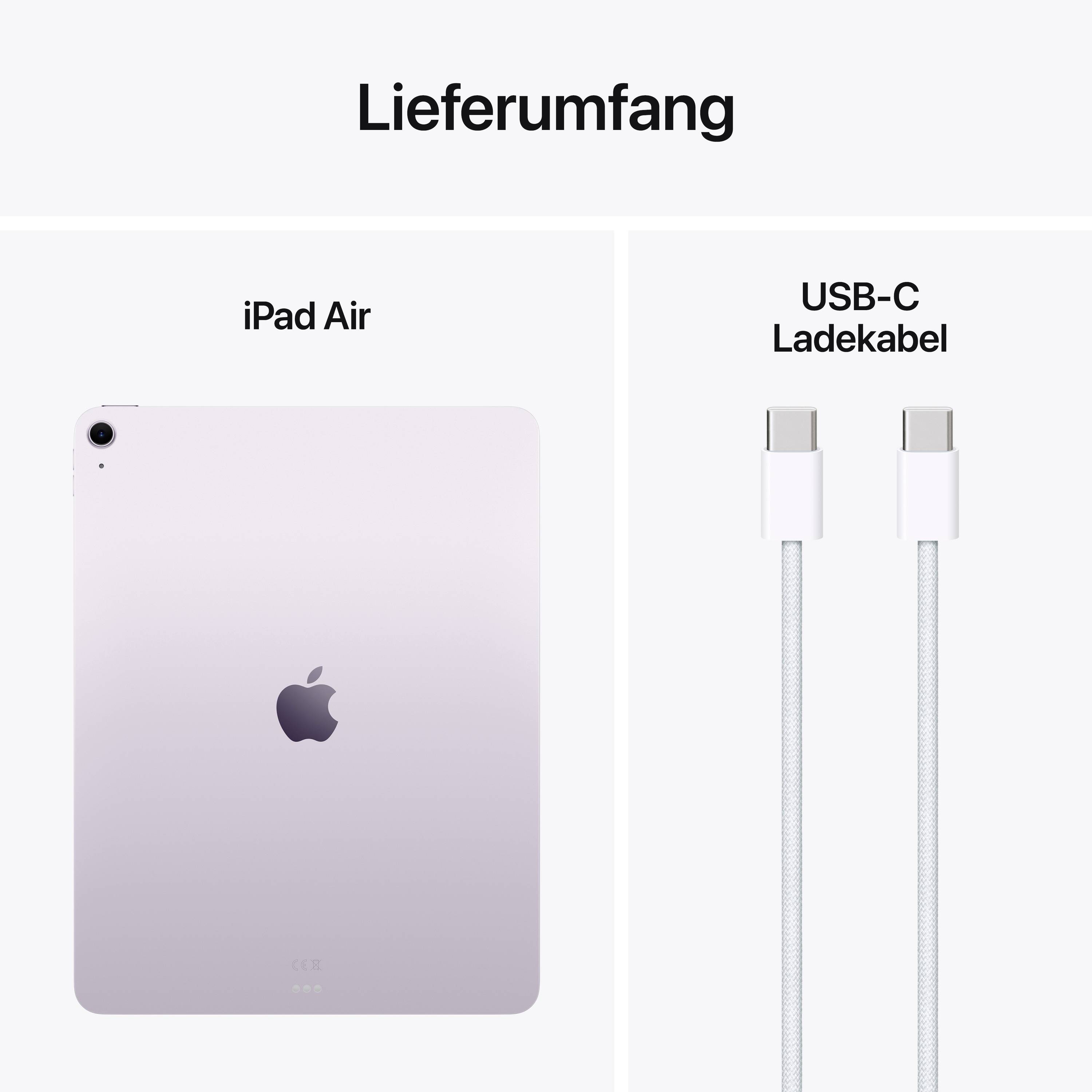La livraison comprend un iPad Air vu de dos et un câble de charge USB-C.