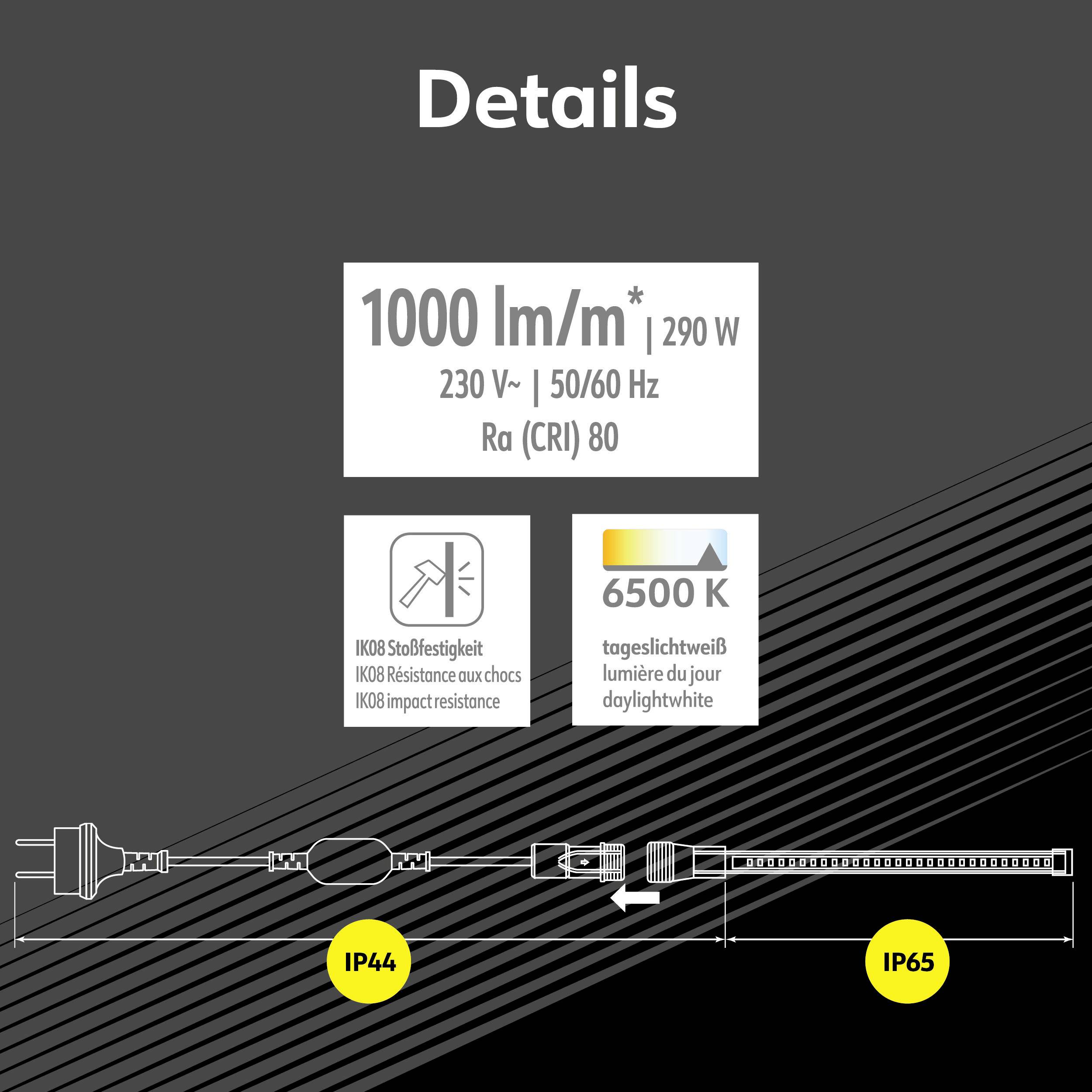 'Détails' : Diagramme d'un luminaire avec 1000 lumens par mètre, 290 watts, 230 V, 50/60 Hz, IRC 80, température de couleur 6500K, le diagramme montre également les classes de protection IP44 et IP65.