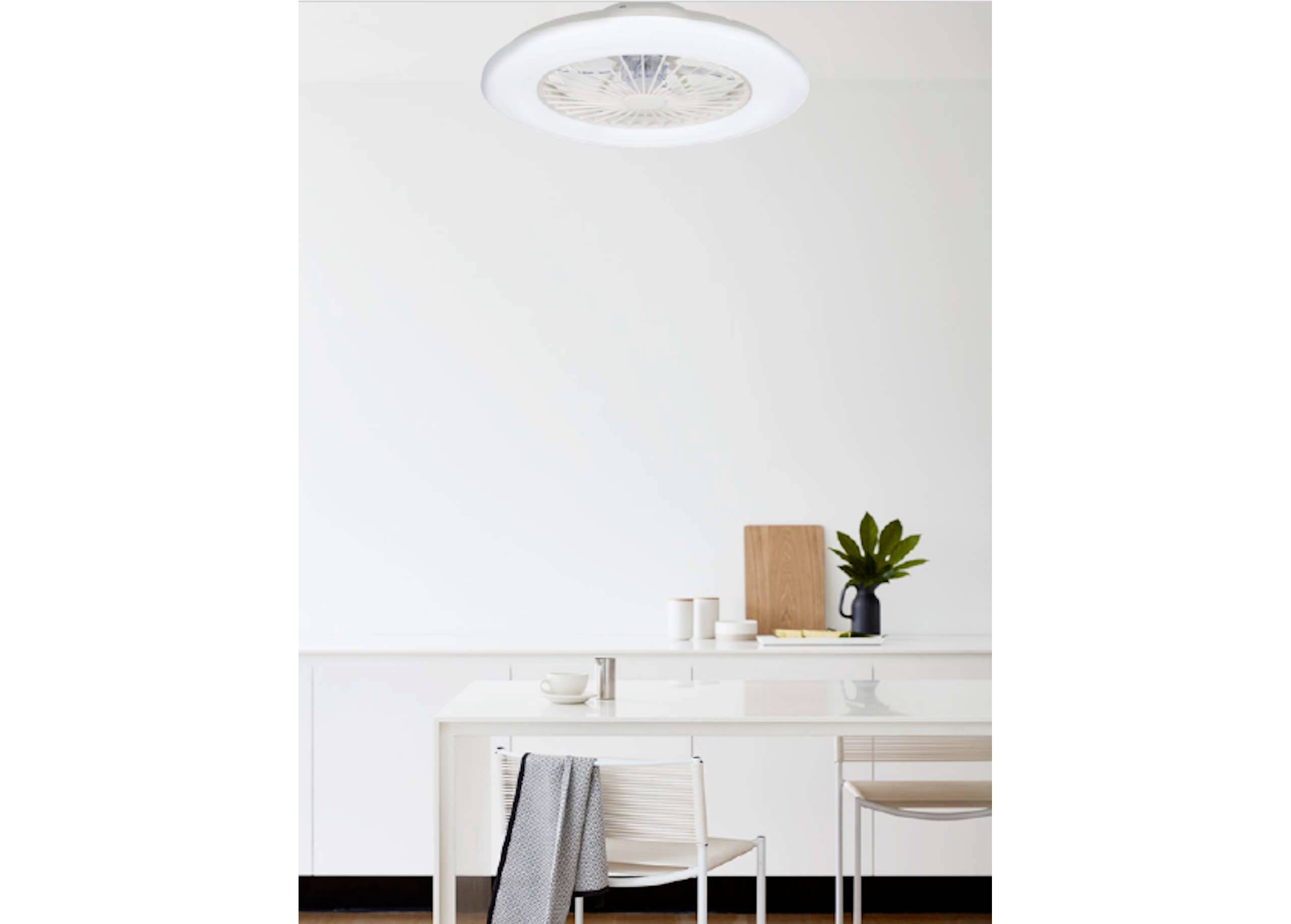 Un espace lumineux et minimaliste avec une table, des chaises blanches, de la vaisselle sur la surface et une plante d'intérieur dans un vase.