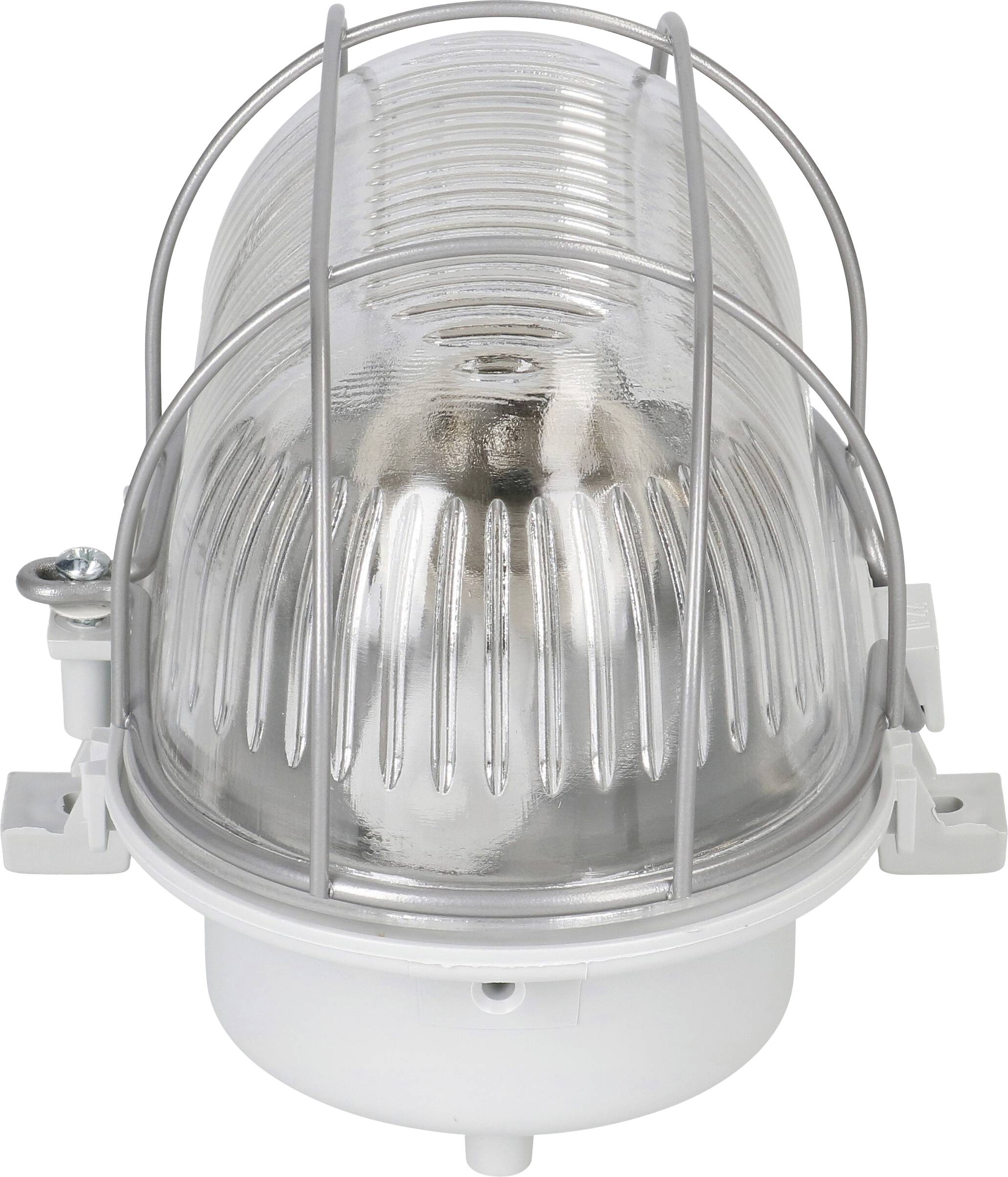 Un luminaire mural à l'aspect industriel, avec grille métallique et diffuseur transparent, adapté à une utilisation en intérieur comme en extérieur.