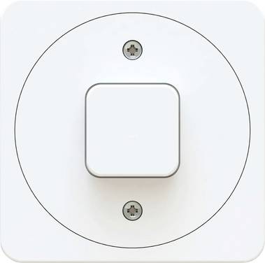 Max Hauri 170616  Interrupteur   IP20 blanc (brillant)