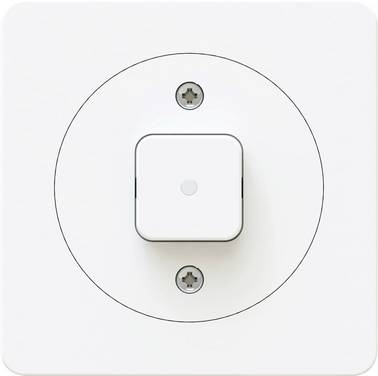 Max Hauri 170617  Interrupteur   IP20 blanc (brillant)