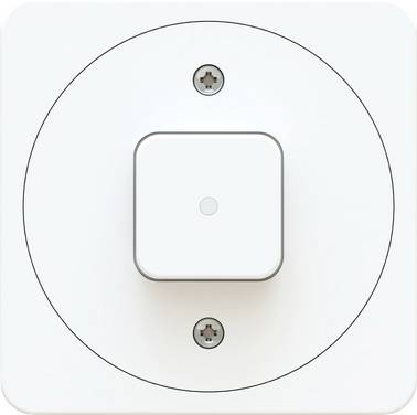 Max Hauri 170618  Interrupteur   IP20 blanc (brillant)