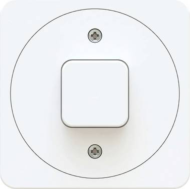 Max Hauri 170622  Interrupteur   IP20 blanc (brillant)