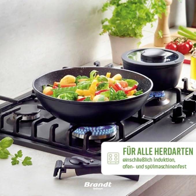 Deux poêles noires sur une gazinière avec des légumes ; une avec un couvercle en verre. Le texte souligne la polyvalence : 'Adaptées à tous types de plaques de cuisson'.