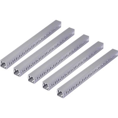 Sygonix SY-6801162 Goulotte de câblage (L x l x H) 2000 x 40 x 40 mm 5 pc(s) gris-0
