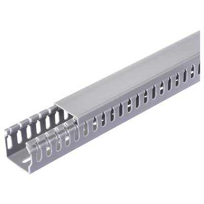 Sygonix SY-6801162 Goulotte de câblage (L x l x H) 2000 x 40 x 40 mm 5 pc(s) gris-1