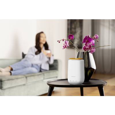 Un purificateur d'air est posé sur une table à côté d'un vase contenant des orchidées mauves. En arrière-plan, une personne floue est assise sur un canapé.