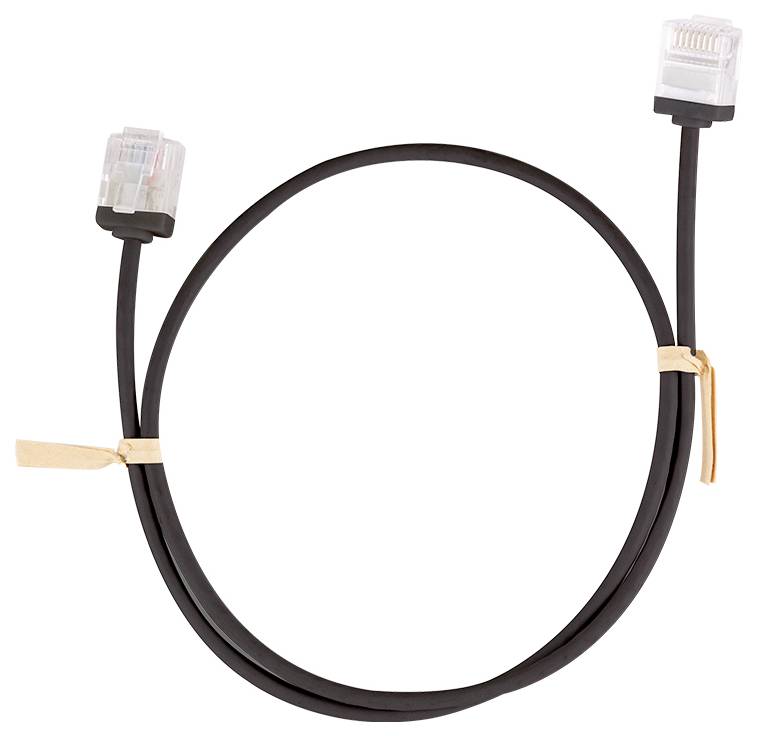 Un câble Ethernet noir avec deux connecteurs RJ45 aux extrémités, enroulé sur un fond blanc.