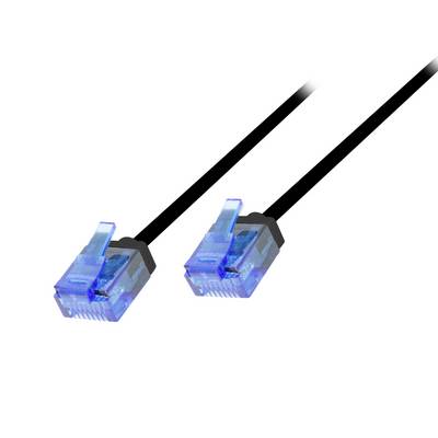 Deux câbles réseau Ethernet bleus avec des connecteurs RJ45 sur un fond blanc.
