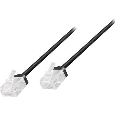 Un câble Ethernet noir avec deux connecteurs RJ-45 transparents, utilisés pour la connexion réseau.