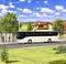 Un bus blanc s'arrête à un arrêt de bus rural où plusieurs personnes attendent ; des maisons et des arbres sont visibles en arrière-plan.