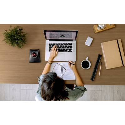 Une personne travaille sur un ordinateur portable à un bureau. Sur la table se trouvent une tasse de café, un cahier et une plante.