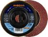 Rhodius 202481 LSA P1 Disque segmenté Grain 60 acier 10 pc(s)