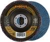 Rhodius 202652 LSZ F2 Disque segmenté Grain 40 acier inoxydable, acier 10 pc(s)