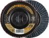 Rhodius 202517 LSZ P1 Disque segmenté Grain 24 acier inoxydable, acier 10 pc(s)