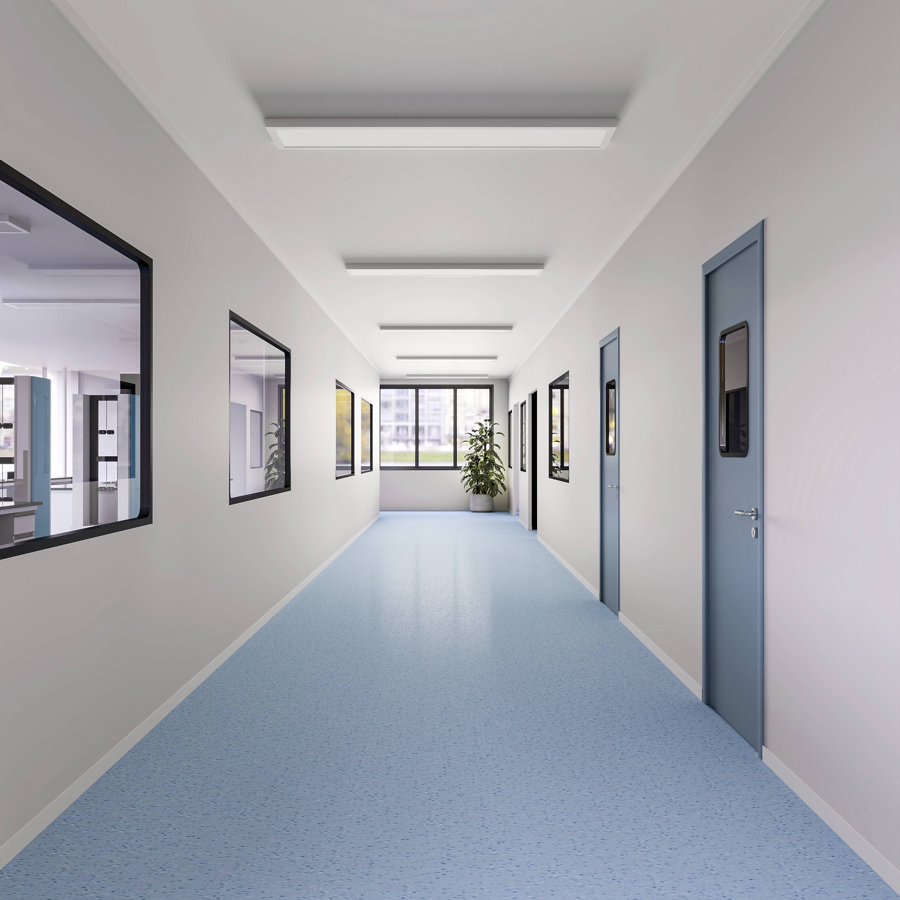 Un couloir lumineux d'un bureau avec des portes bleues et un revêtement de sol brillant, des cadres accrochés aux murs et des plantes à l'extrémité.