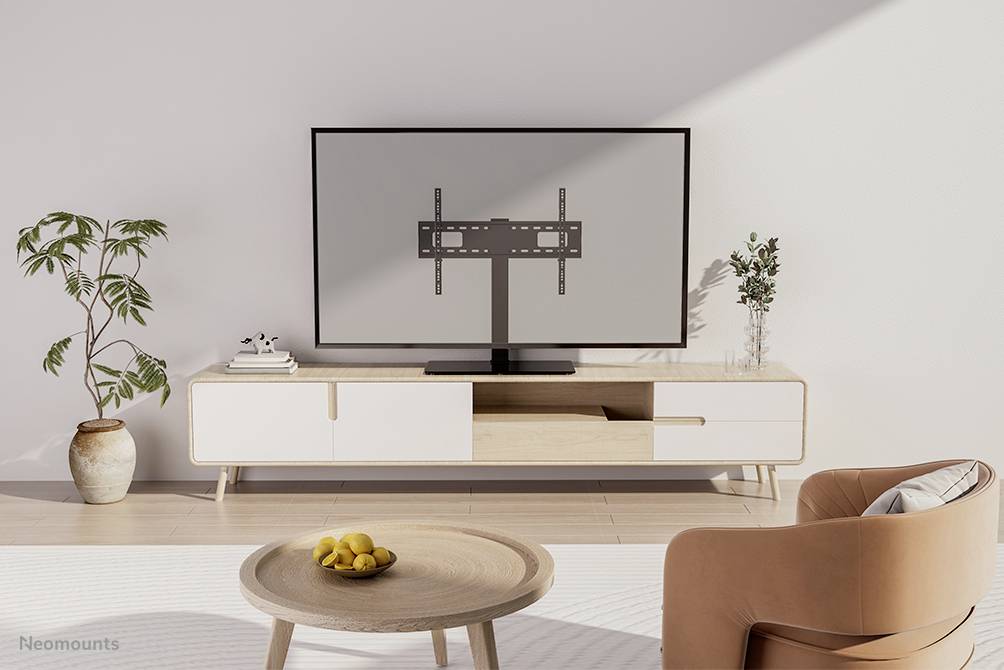 Dans le salon, un téléviseur est posé sur une étagère en bois basse. À côté, des plantes sont disposées de manière décorative dans la pièce.