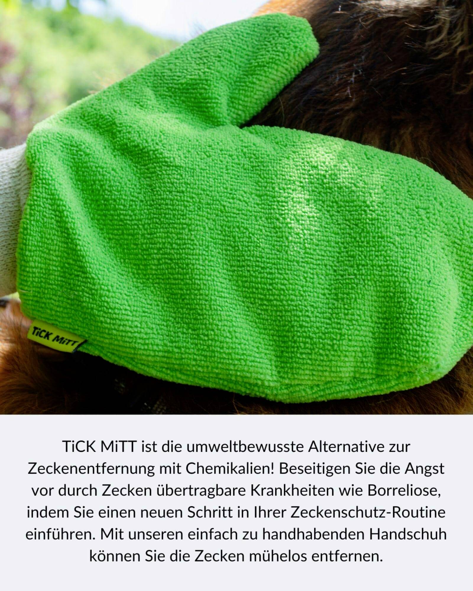 Gant vert portant l'inscription 'TICK MITT' utilisé pour retirer les tiques du pelage d'un animal. Le texte décrit une protection sans produits chimiques.