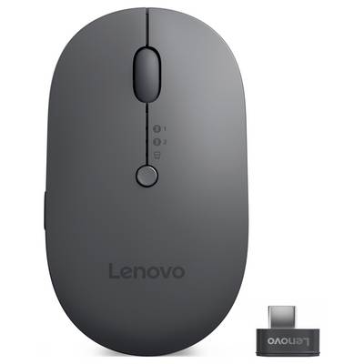 Souris sans fil Lenovo en noir avec dongle USB, pour connexions informatiques.