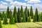 Plusieurs petits arbres miniatures sur une prairie, avec un ciel bleu et des nuages blancs en arrière-plan, scène d'un parc miniature.