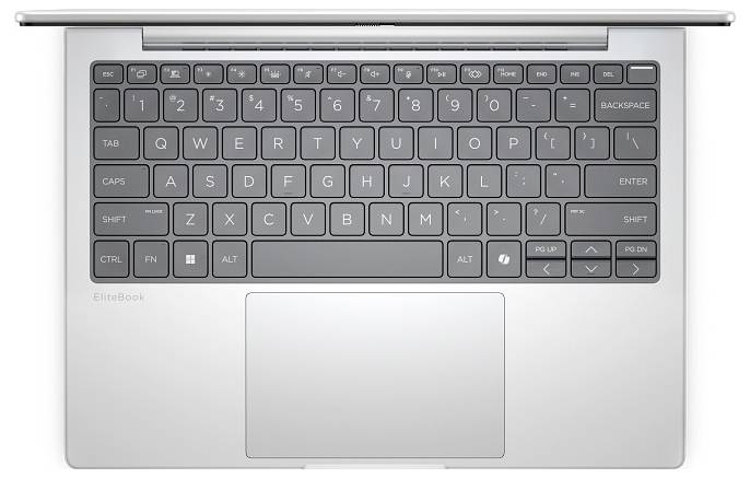 HP Notebook EliteBook 8 G1a 33.8 cm (13.3 pouces) WUXGA AMD Ryzen 7 250 32 GB RAM 1 TB SSD allemand, QWERTZ AMD argent A-0