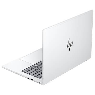 HP Notebook EliteBook 8 G1a 35.6 cm (14 pouces) WQXGA AMD Ryzen AI 5 340 32 GB RAM 512 GB SSD allemand, QWERTZ argent AD-2