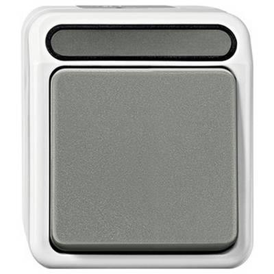 Touche blanche avec une surface grise surélevée, de forme rectangulaire. Probablement utilisée pour des appareils électroniques ou des interrupteurs lumineux.