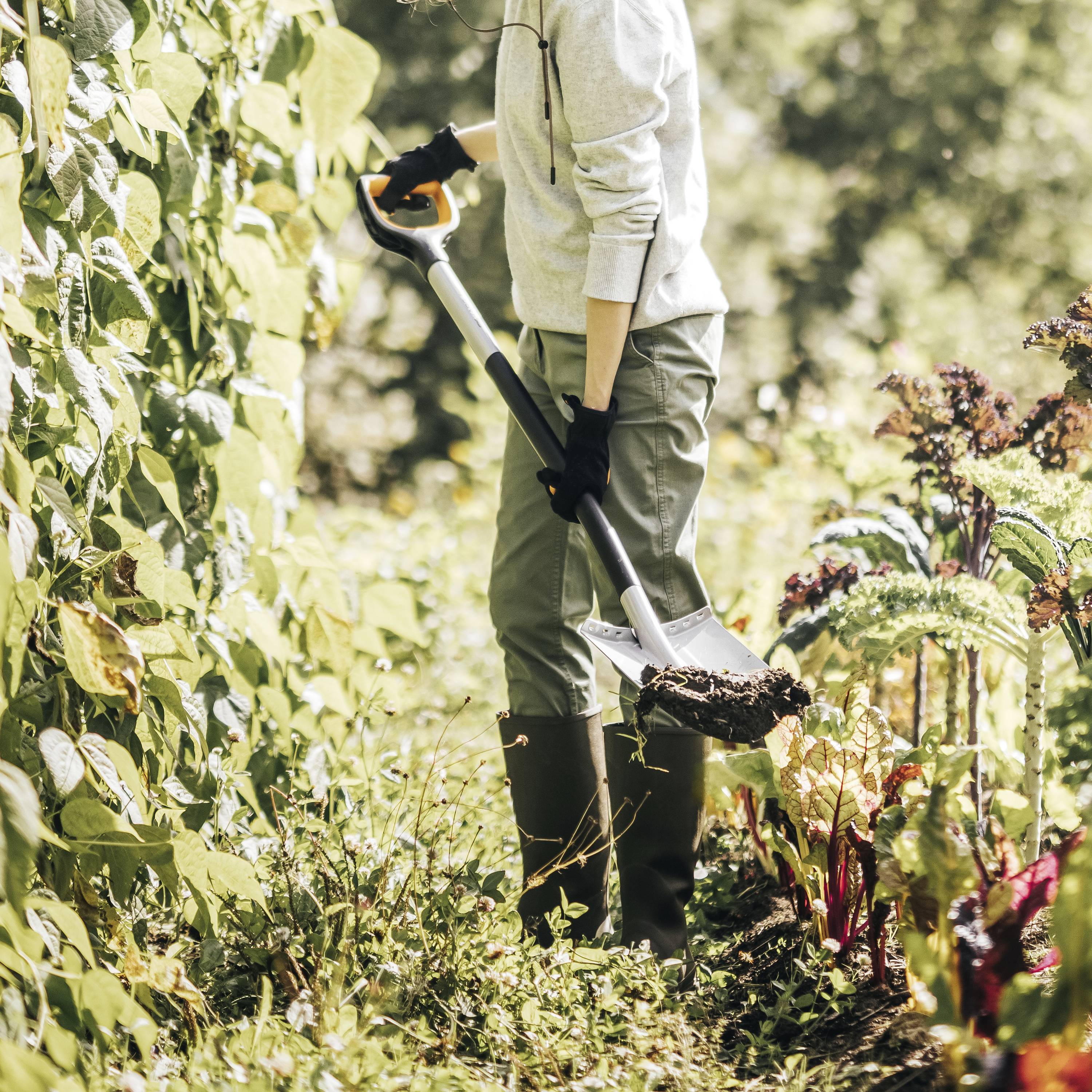 Une personne vêtue de vêtements de jardinage creuse la terre à la pelle, entourée de légumes et de plantes luxuriants.