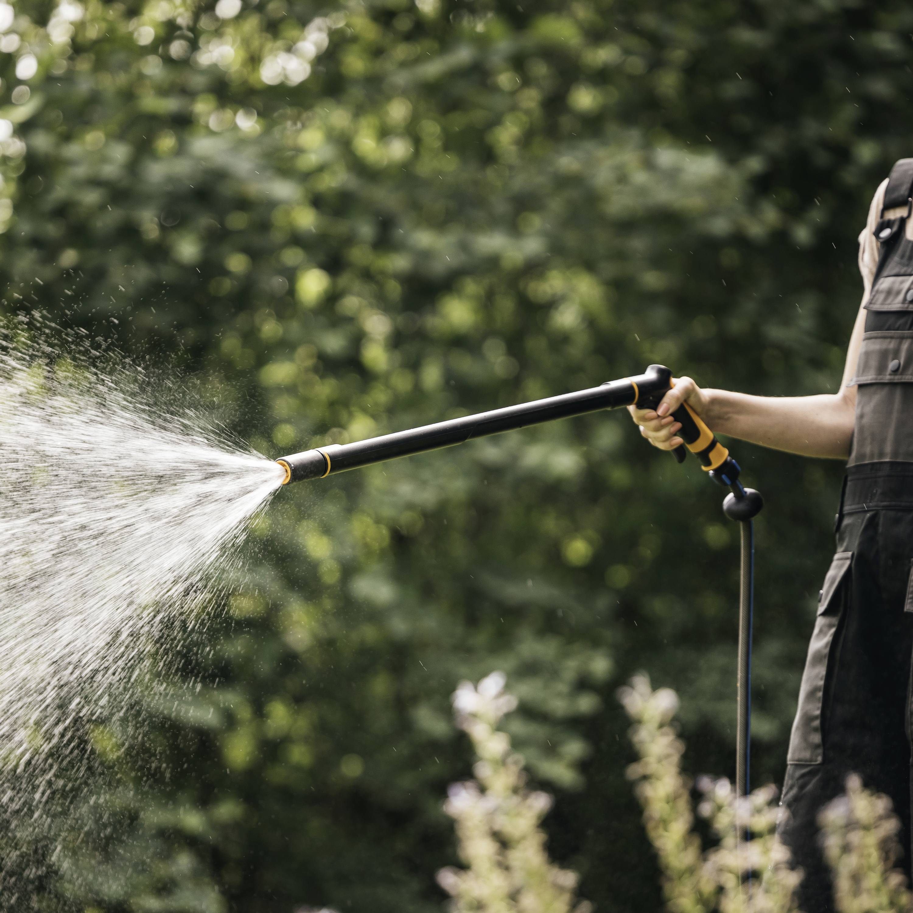 Une personne tient un tuyau d'arrosage et irrigue des plantes à l'extérieur. L'arrière-plan montre des arbres verts et une atmosphère estivale.