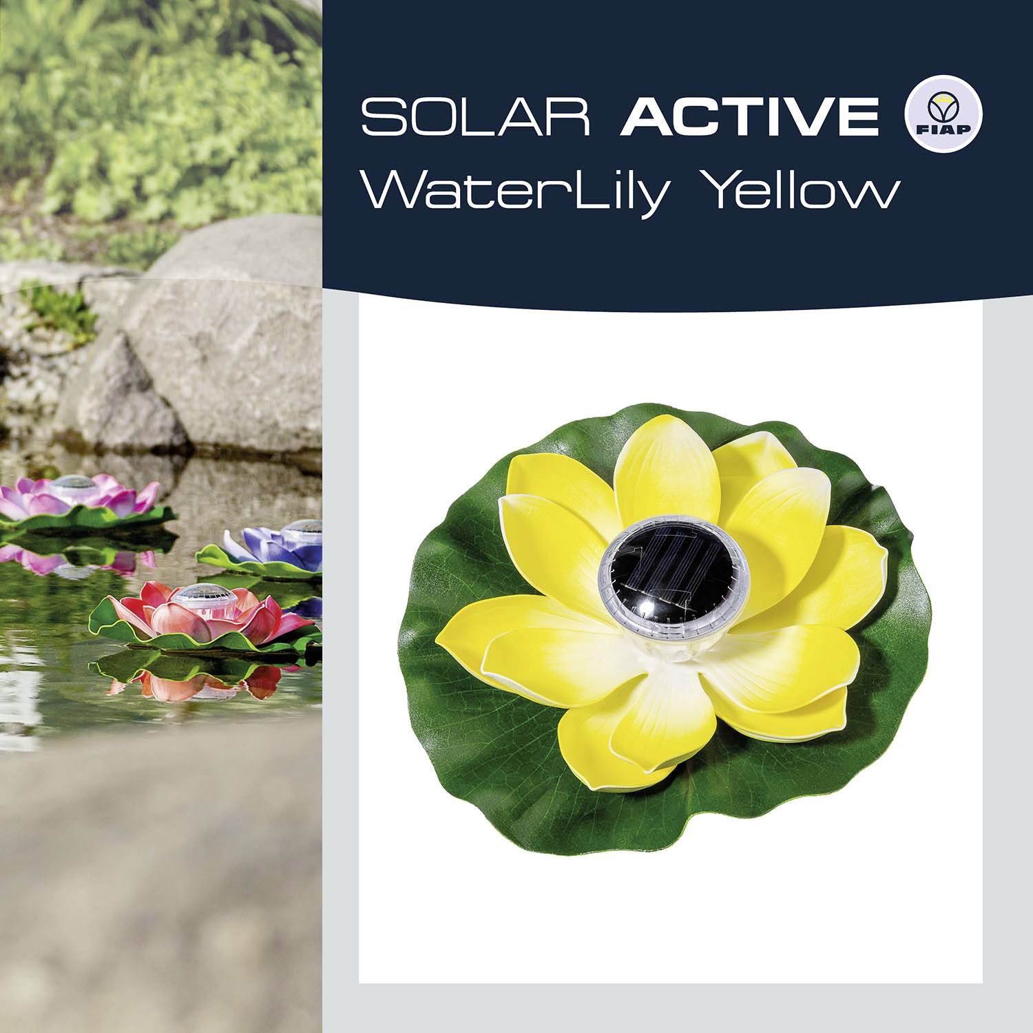 Une nénuphar jaune avec un panneau solaire en son centre flotte sur l'eau ; des nénuphars colorés sont visibles en arrière-plan.