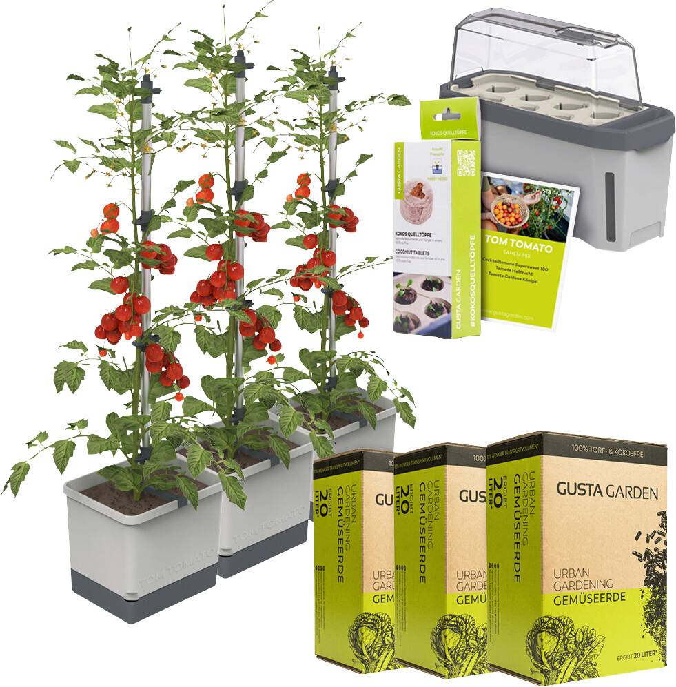 Les plants de tomates poussent dans des jardinières avec des légumes rouges. Complétés par un kit de mini-serre et du terreau pour légumes de jardinage urbain.