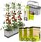 Les plants de tomates poussent dans des jardinières avec des légumes rouges. Complétés par un kit de mini-serre et du terreau pour légumes de jardinage urbain.