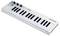 Un clavier MIDI compact et portable avec 25 touches, boutons rotatifs et touches de fonction pour la production musicale et la performance.