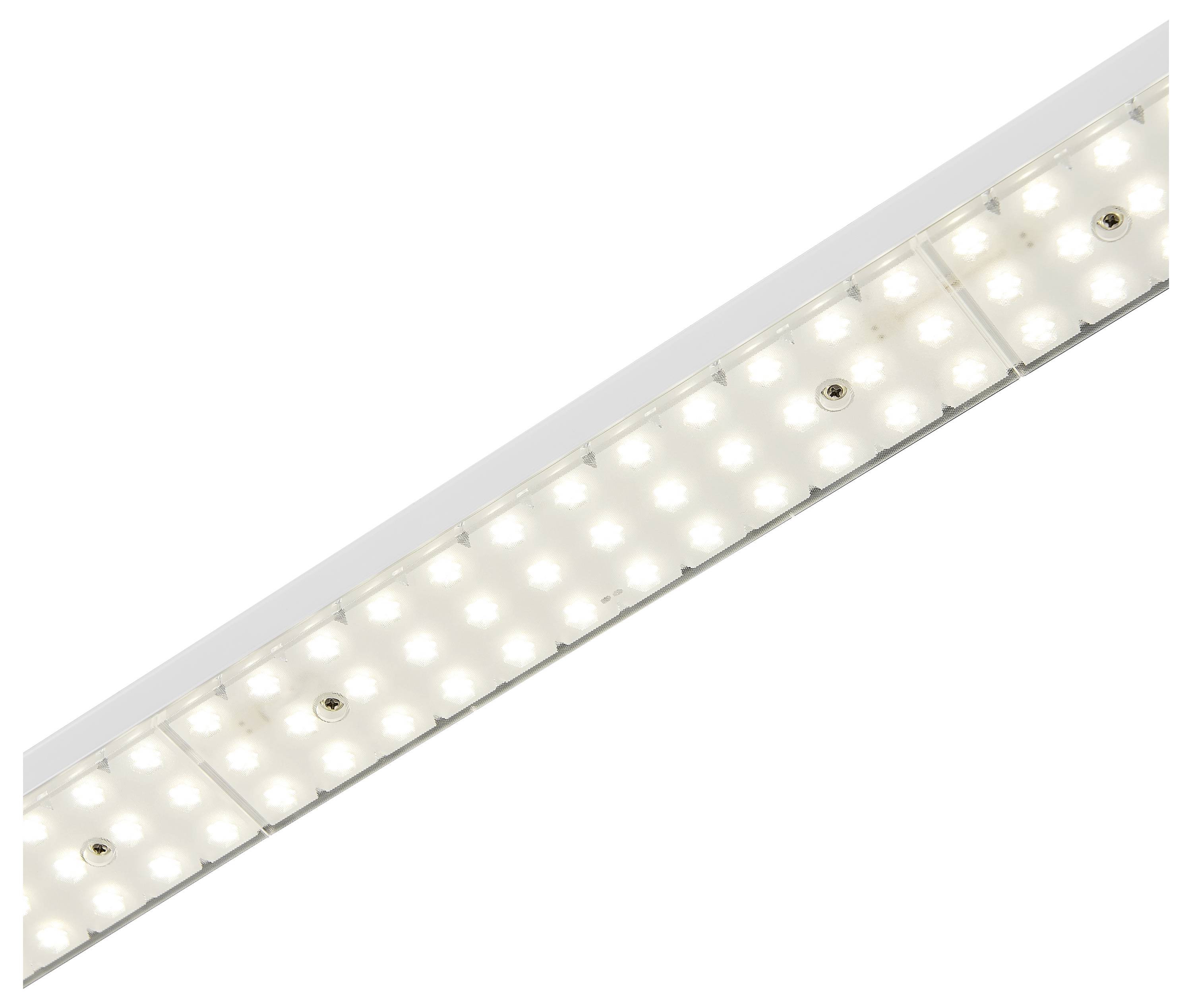 Un luminaire LED rectangulaire étroit avec une rangée de lumières brillantes uniformément disposées sur fond blanc.