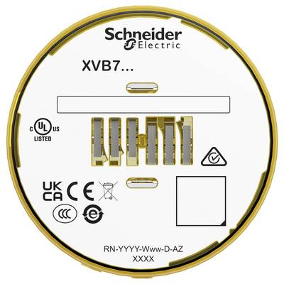 Étiquette de composant électrique circulaire Schneider Electric marquée « XVB7... », avec logos de certification et code de modèle « RN-YYYY-Www-D-AZ XXXX » en bas.
