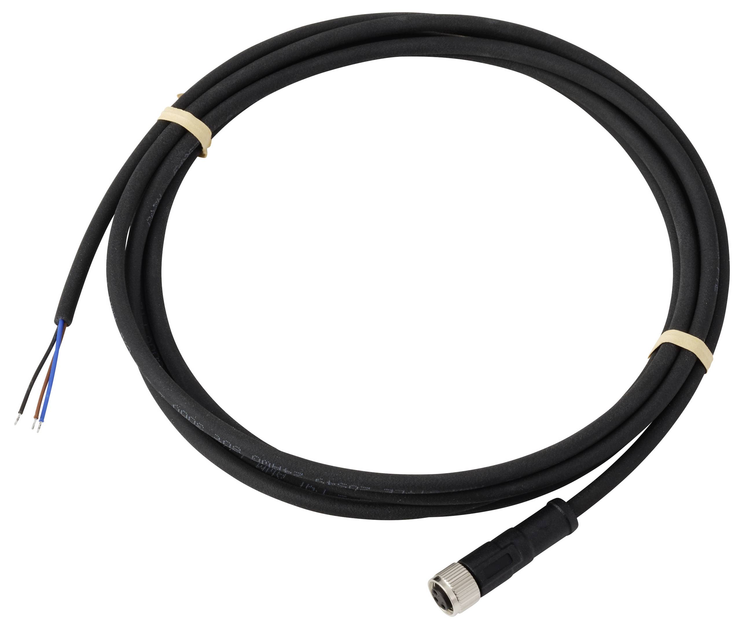 Un câble noir enroulé avec un connecteur métallique à une extrémité et trois fils dénudés (bleu, marron, blanc) à l'autre, maintenus par des attaches beiges.