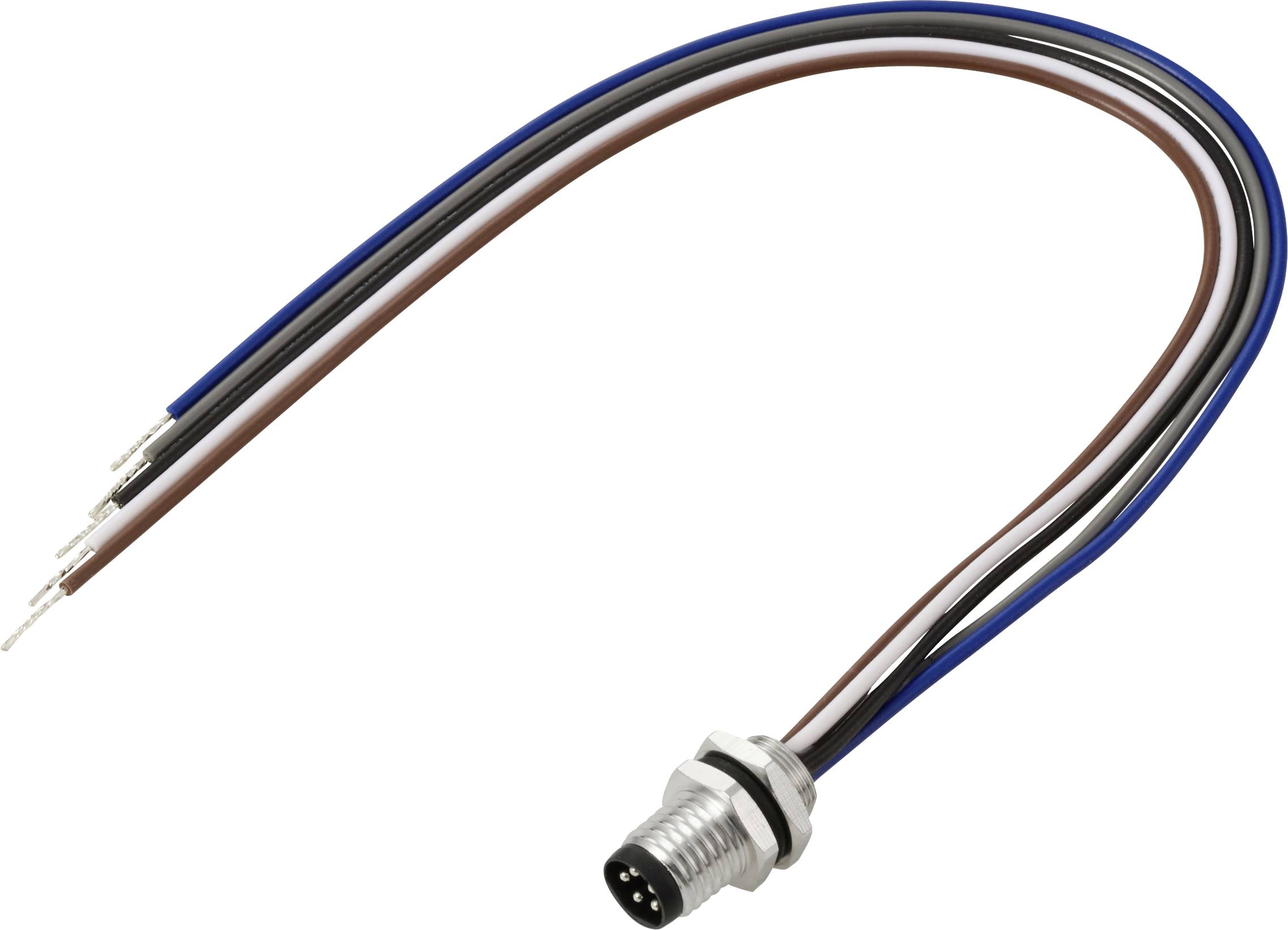TRU COMPONENTS TC-13751976 Câble de raccordement M8 x 1 mâle, droit 0.2 m Nombre de pôles: 5 1 pc(s)