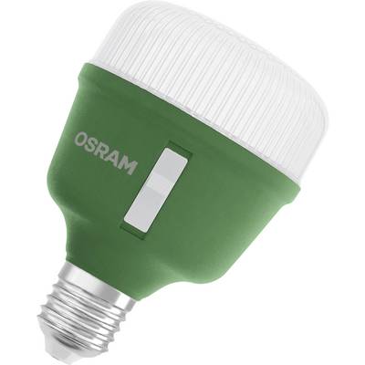 OSRAM HOMELIGHTING 4058075845800 Ampoule pour plantes E27 20 W 1 pc(s)-0