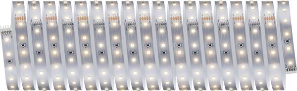Paulmann MaxLED 500 Basisset 71229 Ruban LED (Base)   230 V 10 m blanc chaud  1 set