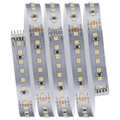 Paulmann MaxLED 1000 Basisset 71243 Ruban LED (Base) avec connecteur mâle 230 V 1.5 m blanc chaud 1 set-2